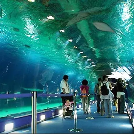 Apartamento Porto 1 Bedroom *