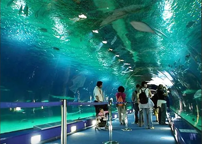 Apartamento Porto 1 Bedroom *